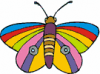 image  Animals Butterflies