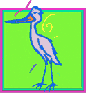 image Animals Flamingo