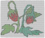 pattern Plants Strawberries