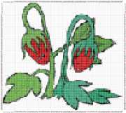 pattern Plants Strawberries