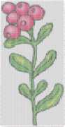 pattern Plants Flowers