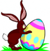 image  Foods Eggs