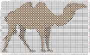pattern Animals Camels