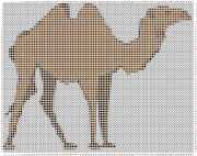 pattern Animals Camels