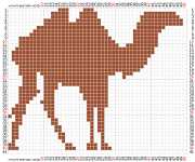 pattern Animals Camels