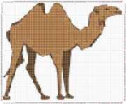 pattern Animals Camels
