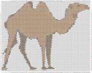 pattern Animals Camels
