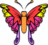 image  Animals Butterflies
