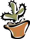 image Plants Cactuses