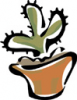 image  Plants Cactuses
