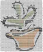 pattern Plants Cactuses
