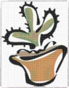 pattern Plants Cactuses