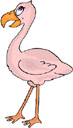 image Animals Flamingo