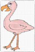 pattern Animals Flamingo