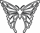 image Animals Butterflies