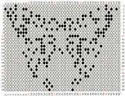 pattern Animals Butterflies