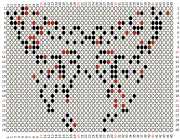 pattern Animals Butterflies