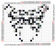 pattern Animals Butterflies