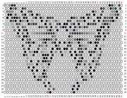 pattern Animals Butterflies