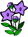 image Plants Flowers