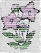 pattern Plants Flowers