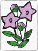 pattern Plants Flowers