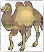 pattern Animals Camels