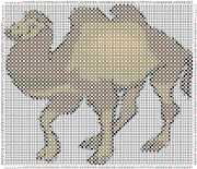 pattern Animals Camels