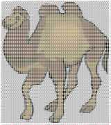 pattern Animals Camels