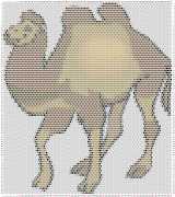 pattern Animals Camels