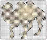 pattern Animals Camels