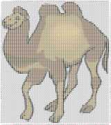 pattern Animals Camels
