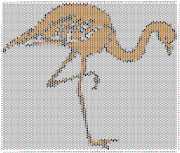 pattern Animals Flamingo
