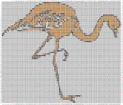 pattern Animals Flamingo