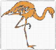 pattern Animals Flamingo