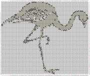 pattern Animals Flamingo