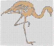 pattern Animals Flamingo