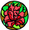 image  Plants Flowers