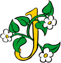 image Plants Flowers Letters & numbers Flowers