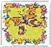 pattern Animals Butterflies