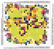 pattern Animals Butterflies