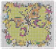 pattern Animals Butterflies