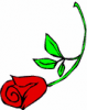 image  Plants Roses