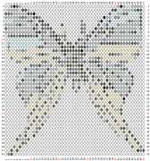 pattern Animals Butterflies