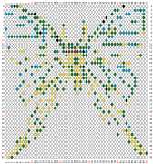 pattern Animals Butterflies
