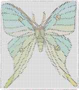 pattern Animals Butterflies