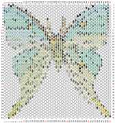 pattern Animals Butterflies