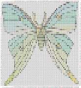 pattern Animals Butterflies