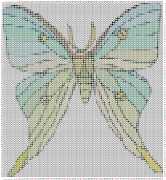 pattern Animals Butterflies