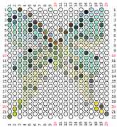 pattern Animals Butterflies